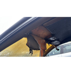 Vitre avant gauche RENAULT LAGUNA 2