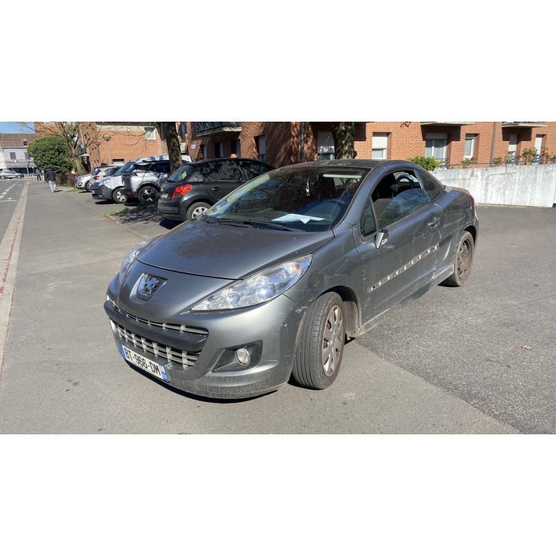 Custode avant droit (porte) PEUGEOT 207 Photo n°5