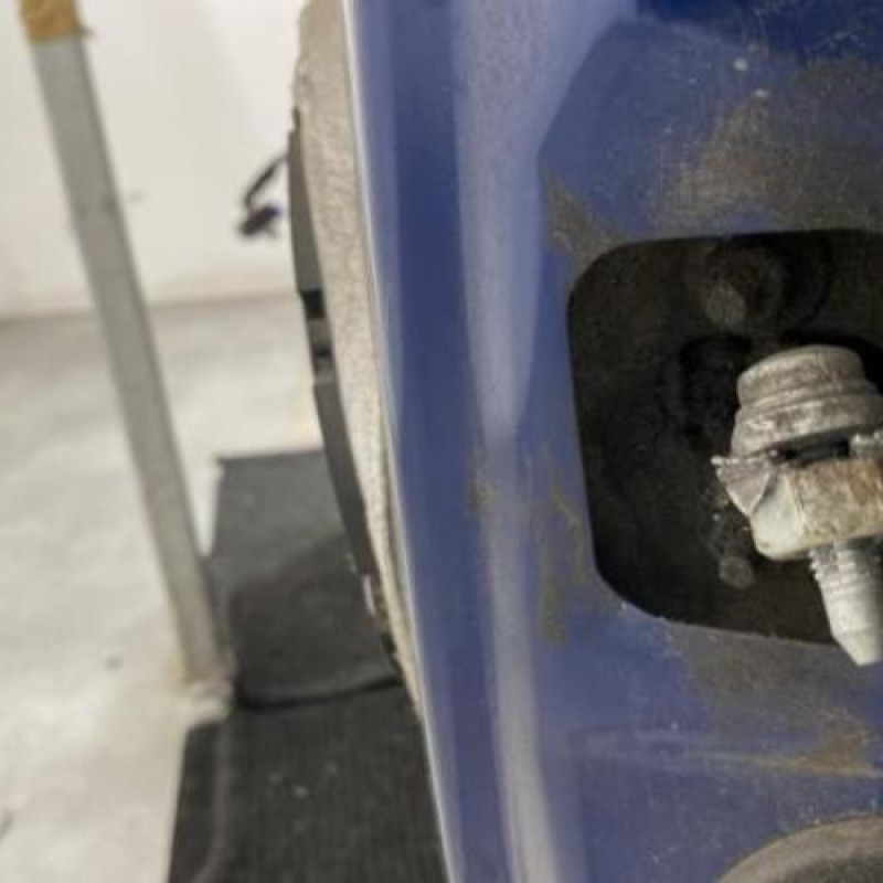 Porte avant gauche CITROEN C3 1 Photo n°3