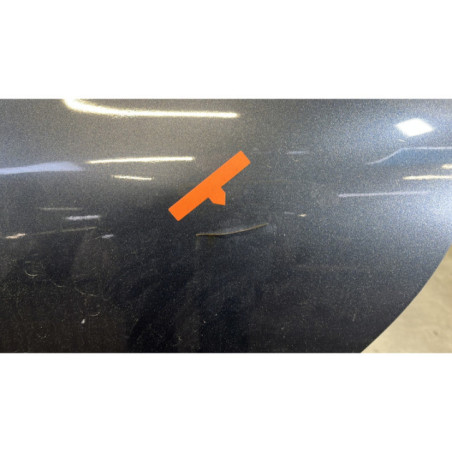 Porte arriere gauche RENAULT CLIO 4