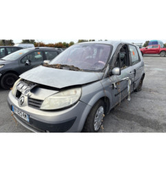 Custode avant droit (porte) RENAULT SCENIC 2