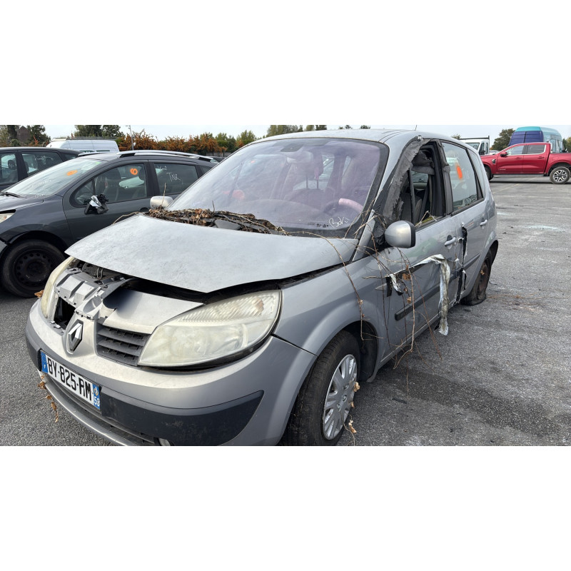 Custode avant droit (porte) RENAULT SCENIC 2 Photo n°5