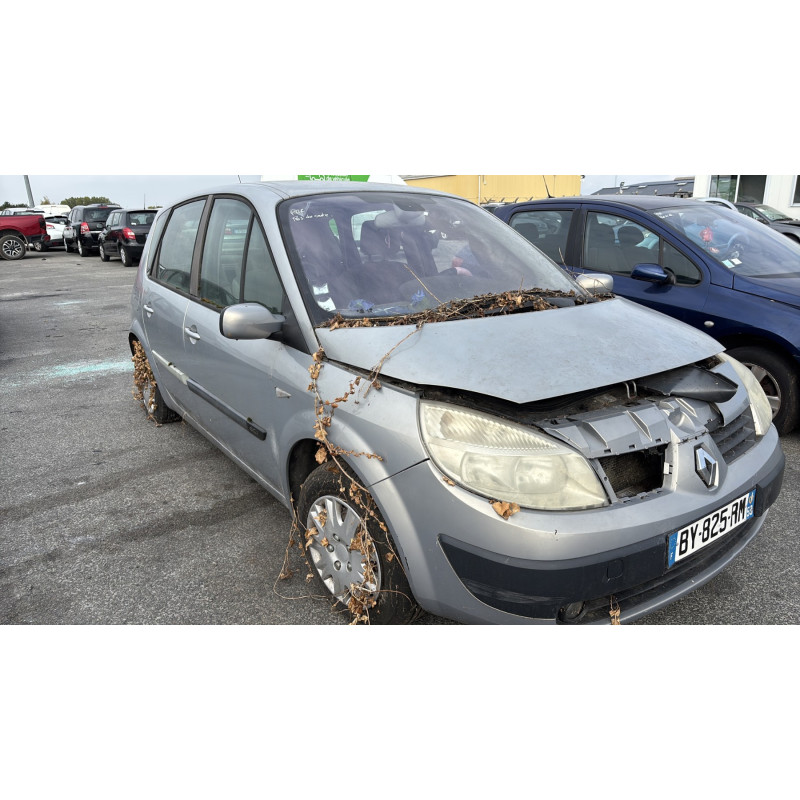 Custode avant droit (porte) RENAULT SCENIC 2 Photo n°6