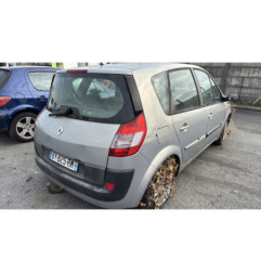 Custode avant droit (porte) RENAULT SCENIC 2