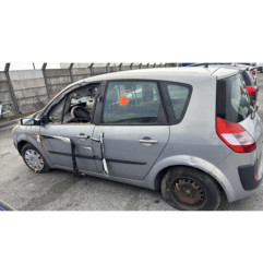 Custode avant droit (porte) RENAULT SCENIC 2