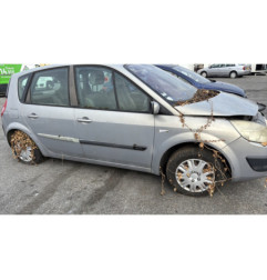 Custode avant droit (porte) RENAULT SCENIC 2