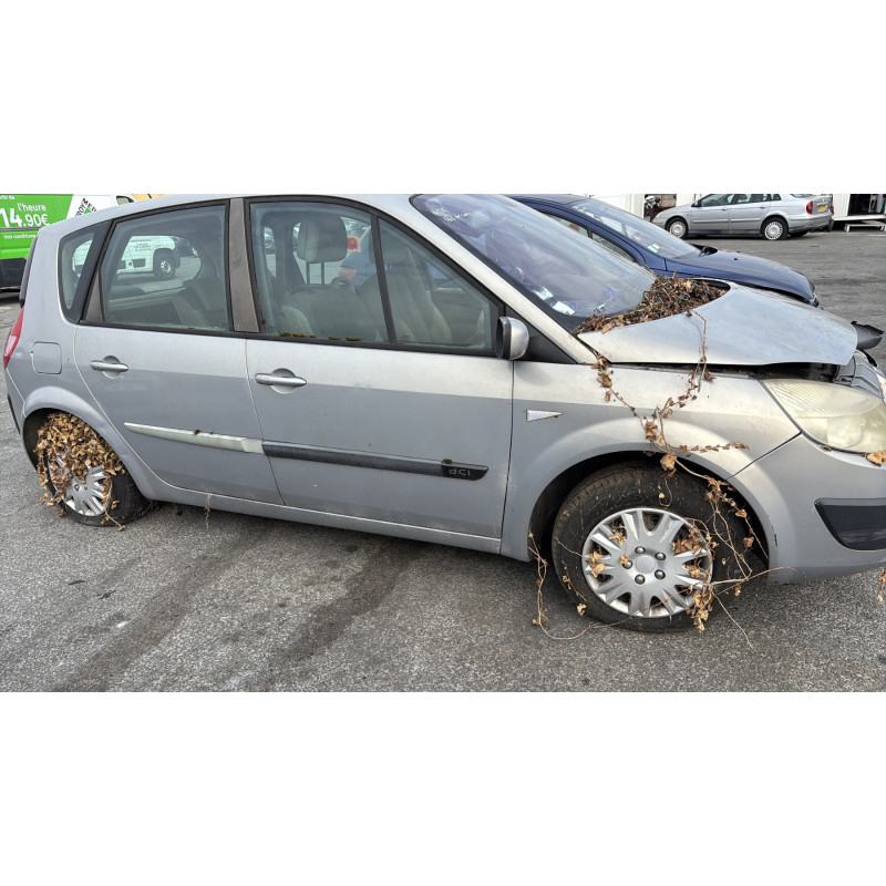 Custode avant droit (porte) RENAULT SCENIC 2 Photo n°11