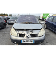 Custode avant droit (porte) RENAULT SCENIC 2