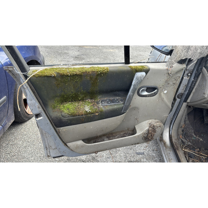 Custode avant droit (porte) RENAULT SCENIC 2 Photo n°13