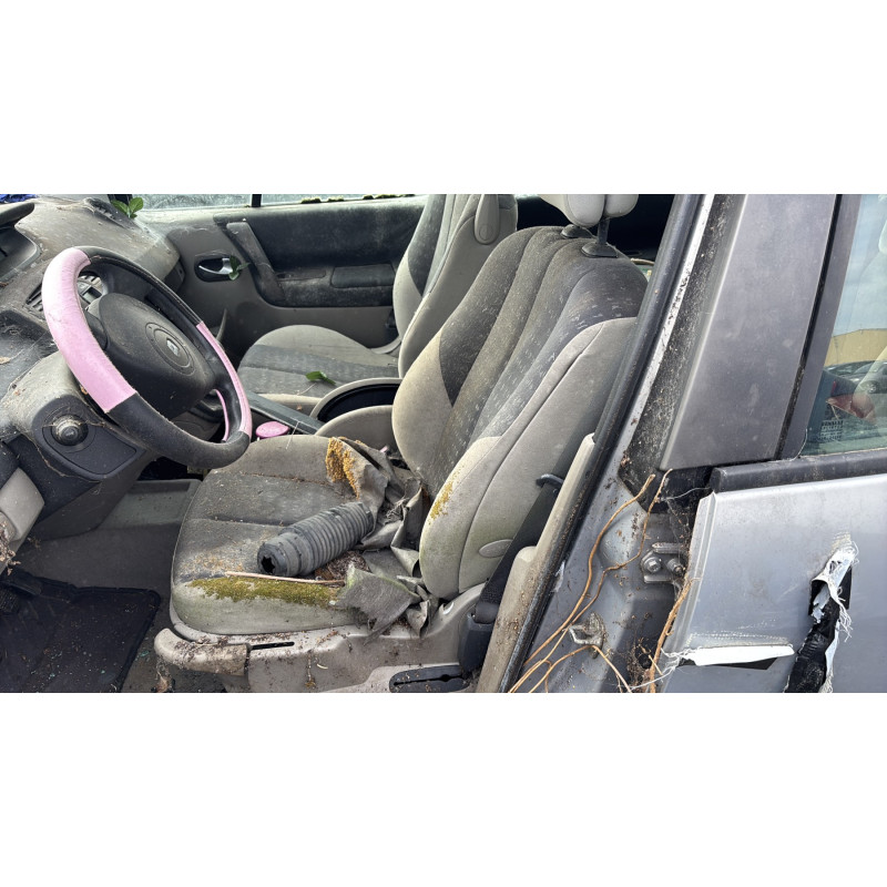 Custode avant droit (porte) RENAULT SCENIC 2 Photo n°14