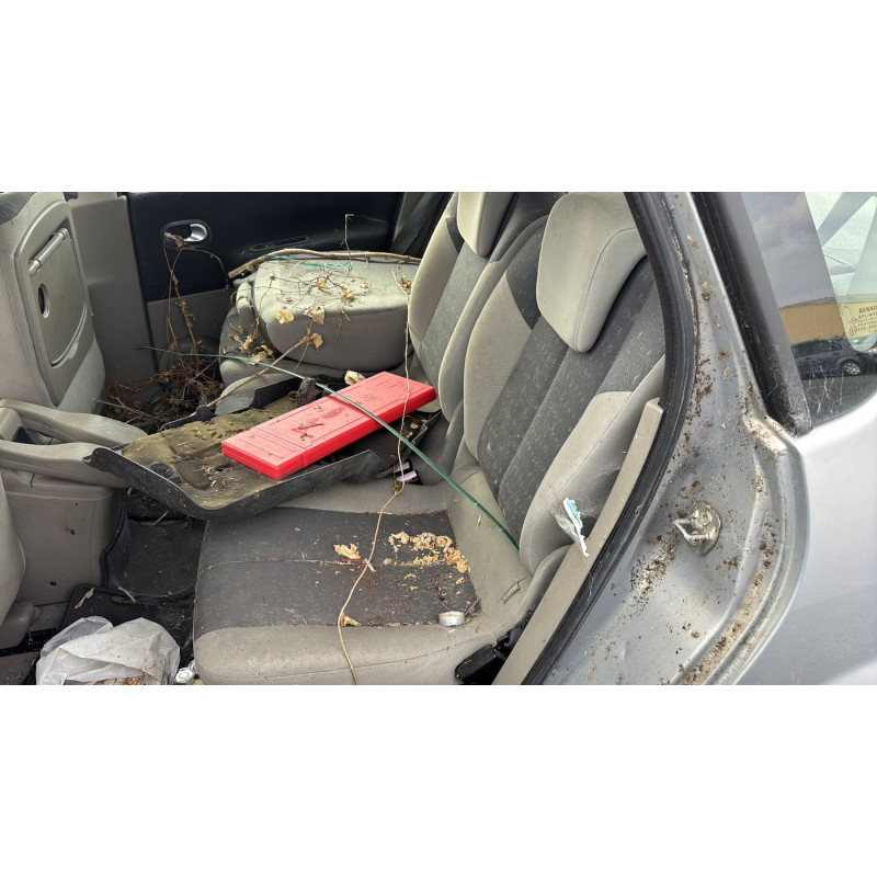Custode avant droit (porte) RENAULT SCENIC 2 Photo n°15