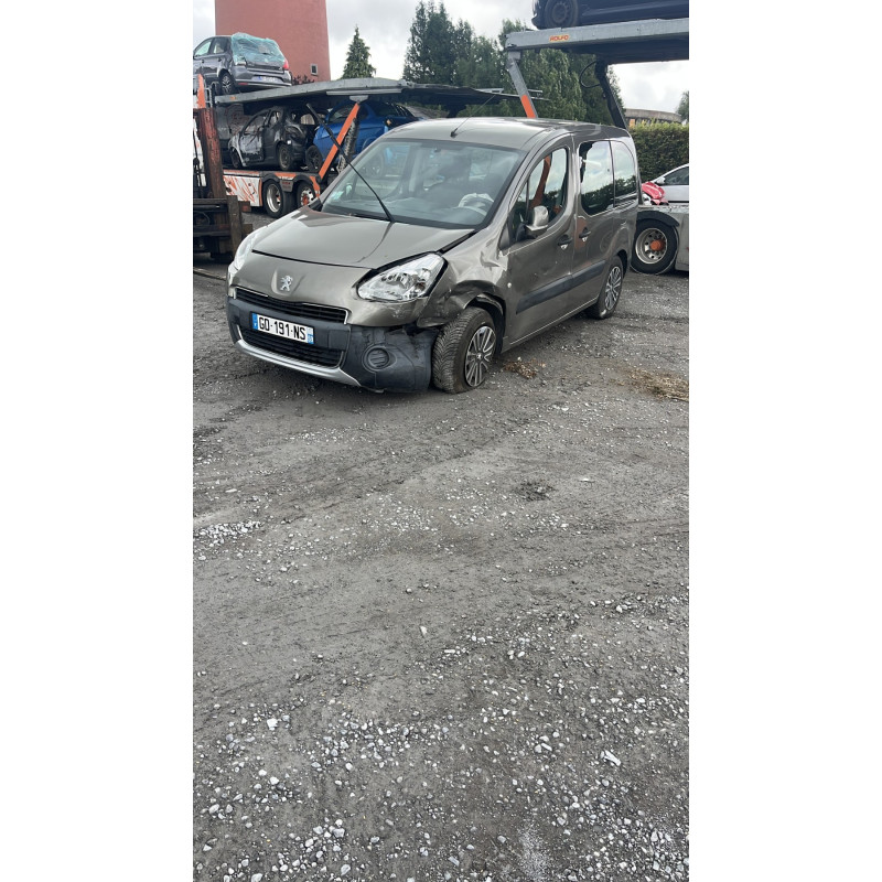 Custode arriere gauche PEUGEOT PARTNER 2 Photo n°5