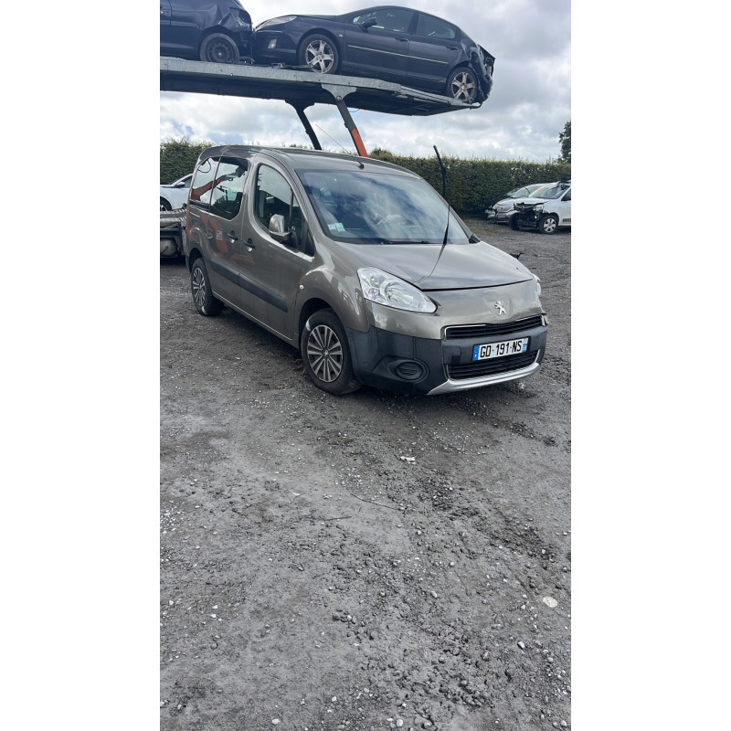 Custode arriere gauche PEUGEOT PARTNER 2 Photo n°6