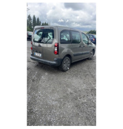 Custode arriere gauche PEUGEOT PARTNER 2