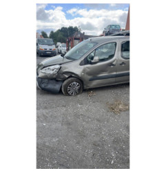 Custode arriere gauche PEUGEOT PARTNER 2