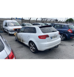 Porte arriere gauche AUDI A3 2