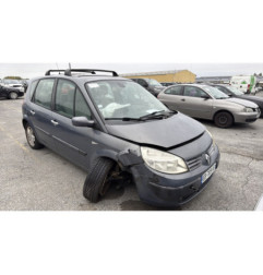 Pedale d'accelerateur RENAULT SCENIC 2