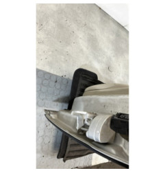 Porte arriere gauche RENAULT GRAND SCENIC 2