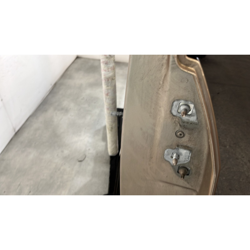 Porte arriere gauche RENAULT MODUS Photo n°4