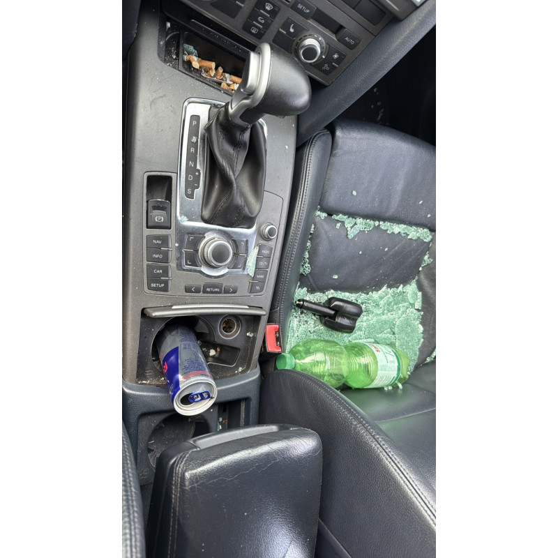 Porte avant gauche AUDI A6 3 Photo n°16