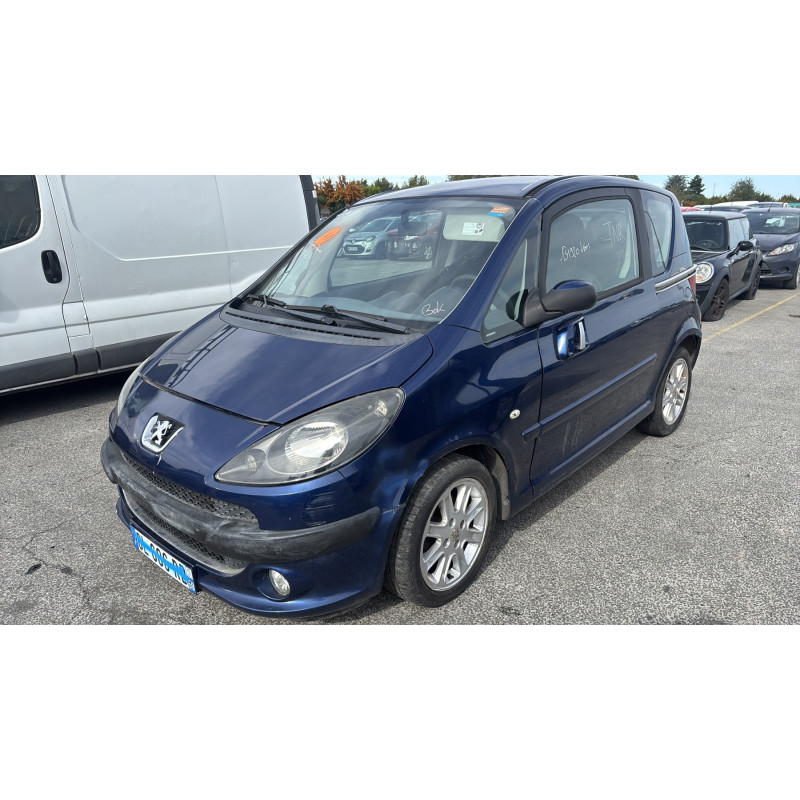 Calandre PEUGEOT 1007 Photo n°6
