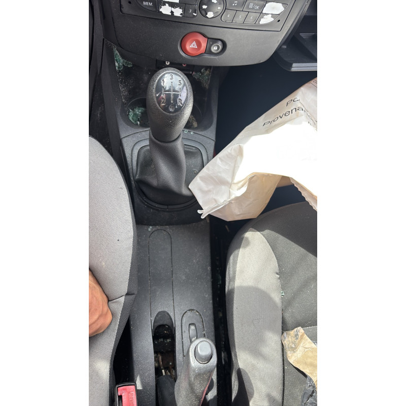 Custode arriere gauche (porte) RENAULT CLIO 3 Photo n°20