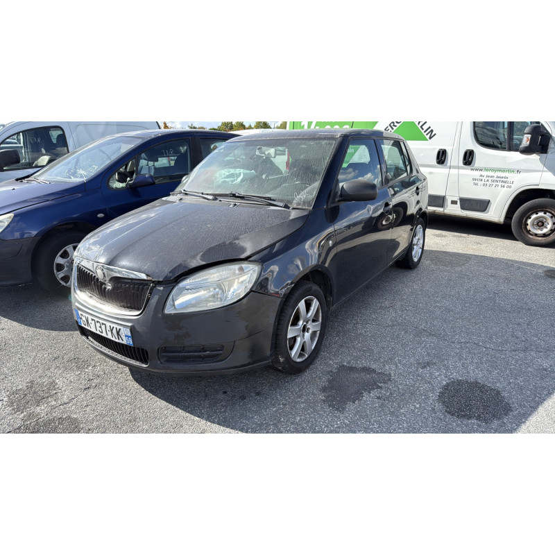 Porte arriere droit SKODA FABIA 2 Photo n°7