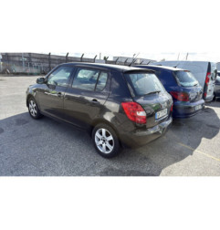 Porte arriere droit SKODA FABIA 2
