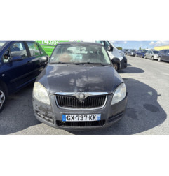 Porte avant droit SKODA FABIA 2