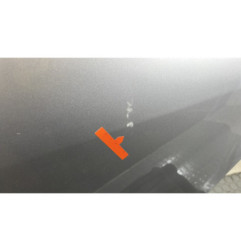 Porte arriere gauche DACIA SANDERO 1