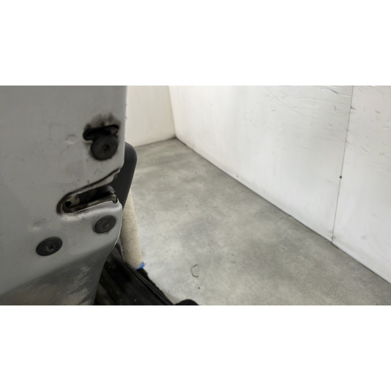 Porte arriere gauche DACIA SANDERO 1 Photo n°5
