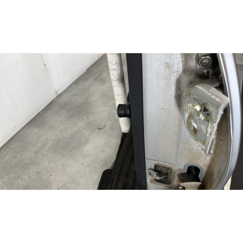 Porte arriere gauche DACIA SANDERO 1 Photo n°6