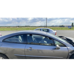 Arret de porte avant droit PEUGEOT 407