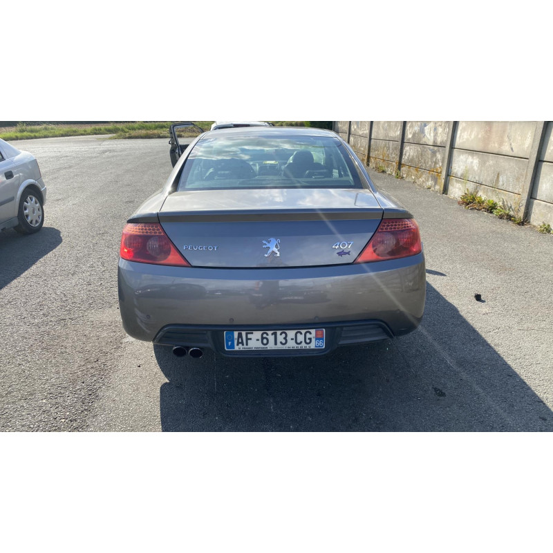 Arret de porte avant droit PEUGEOT 407 Photo n°20