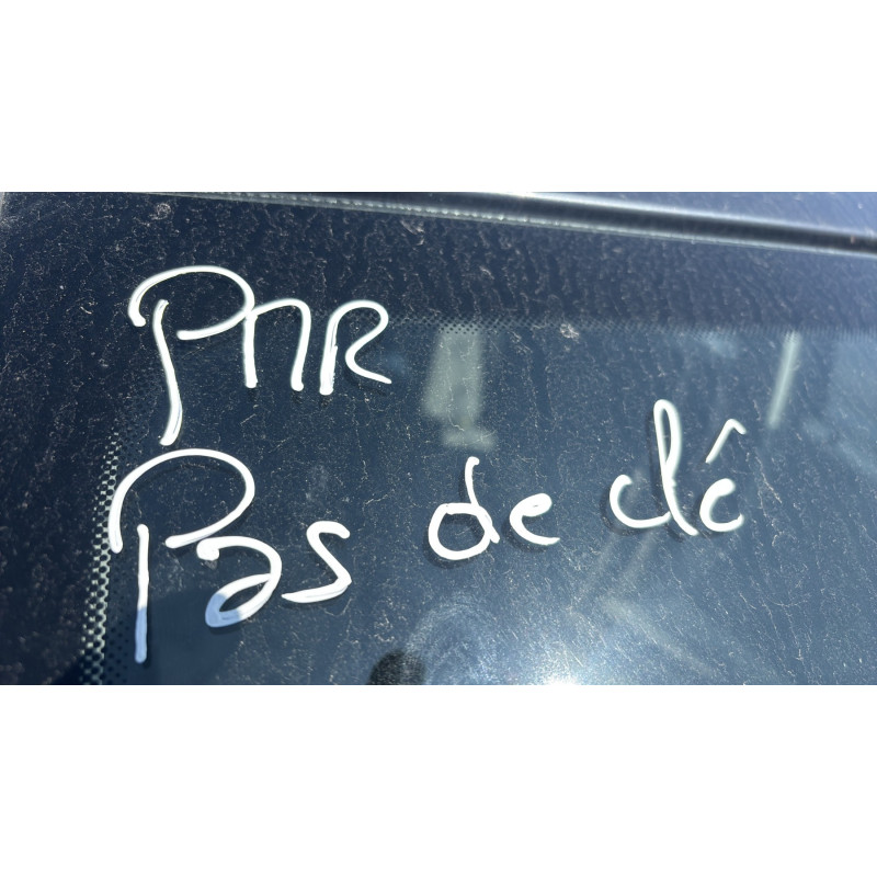 Poignee porte arriere gauche DACIA SANDERO 1 Photo n°14