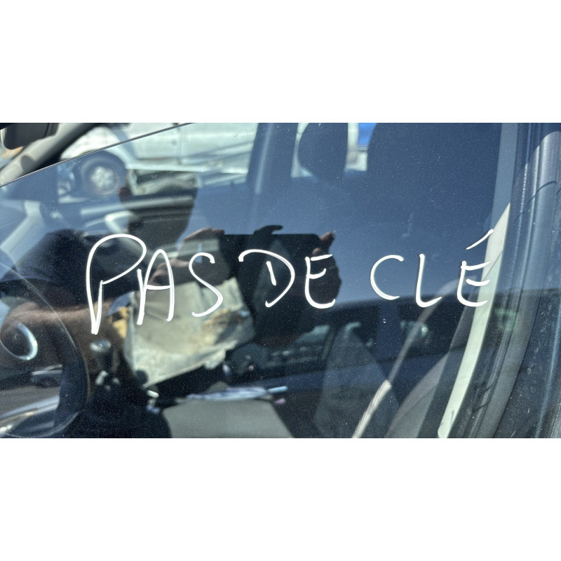 Poignee porte arriere gauche DACIA SANDERO 1 Photo n°15