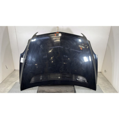 Capot MERCEDES CLASSE R 251 Photo n°1