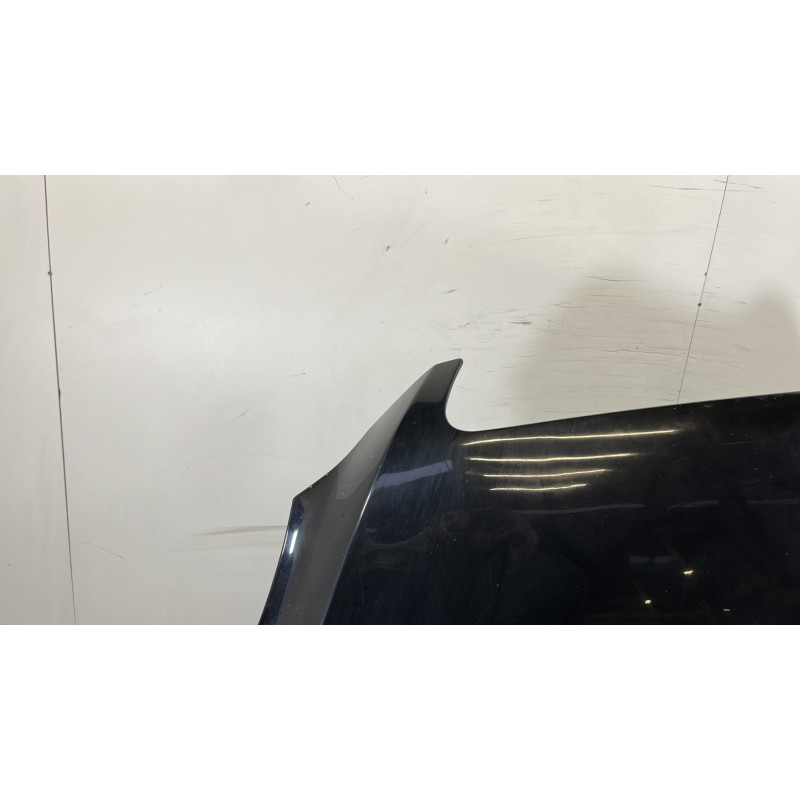 Capot MERCEDES CLASSE R 251 Photo n°4