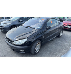 Vase de lave glace PEUGEOT 206
