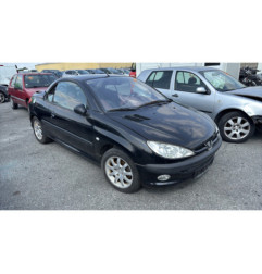 Vase de lave glace PEUGEOT 206