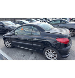 Vase de lave glace PEUGEOT 206