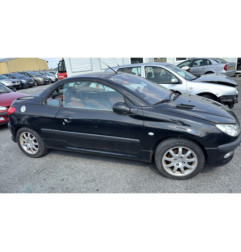 Vase de lave glace PEUGEOT 206