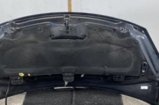 Capot CITROEN DS3