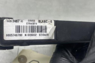 Pedale d'embrayage CITROEN C4 PICASSO 2