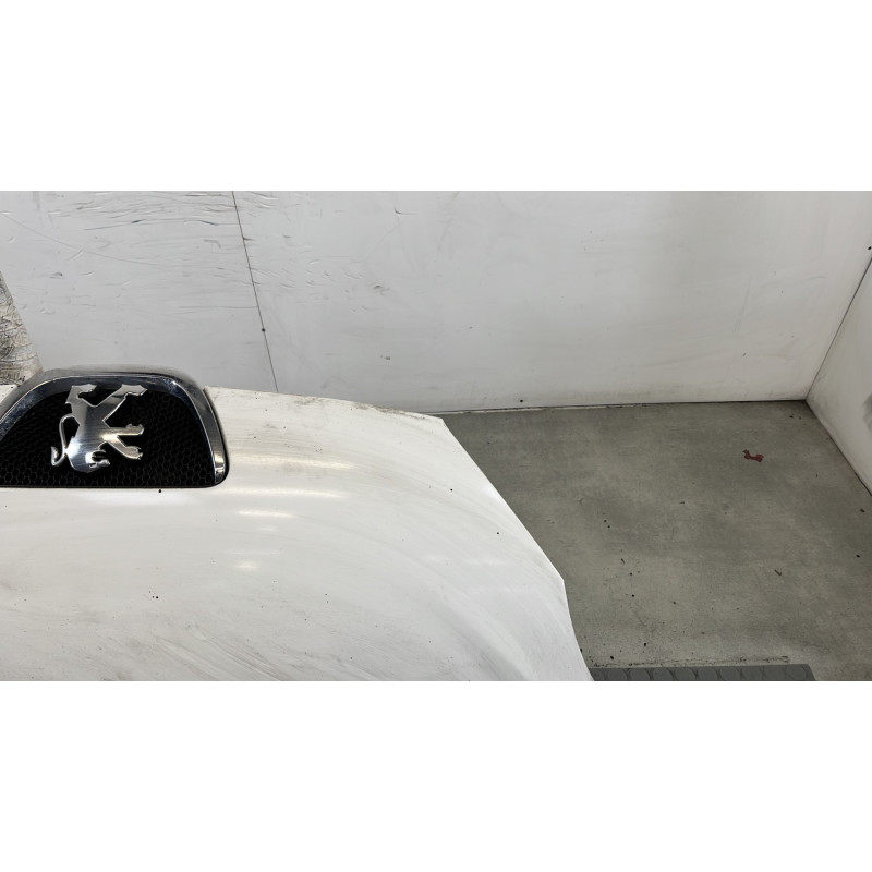 Capot PEUGEOT 107 Photo n°3