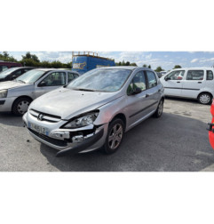 Porte arriere gauche PEUGEOT 307