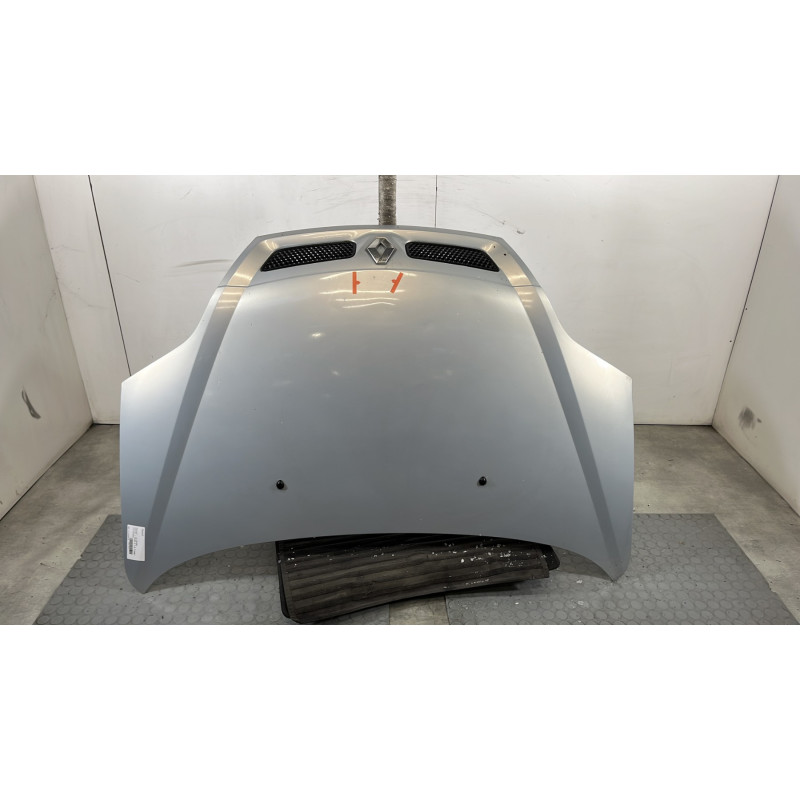 Capot RENAULT SCENIC 1 Photo n°1
