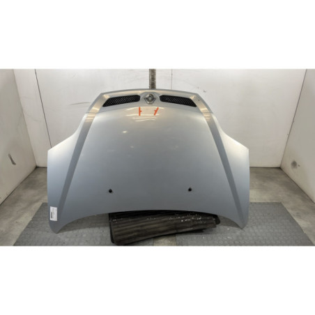 Capot RENAULT SCENIC 1 Photo n°1