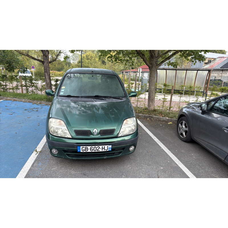 Custode avant droit (porte) RENAULT SCENIC 1 Photo n°6