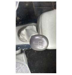 Custode avant droit (porte) RENAULT SCENIC 1
